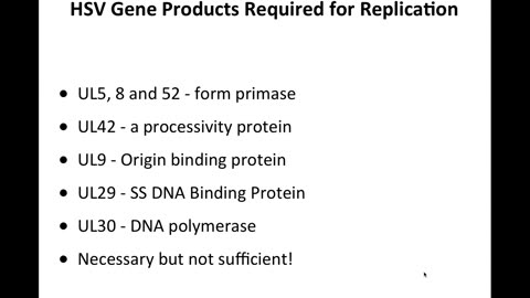 Big DNA viruses