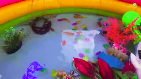 Amazing pool wth colorful surprise eggs, koi, turtle, betta fish catch, goldfish, dinosaurs 3in1 mix