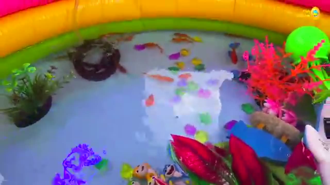 Amazing pool wth colorful surprise eggs, koi, turtle, betta fish catch, goldfish, dinosaurs 3in1 mix