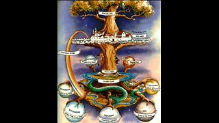 Tree of life?