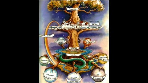 Tree of life?