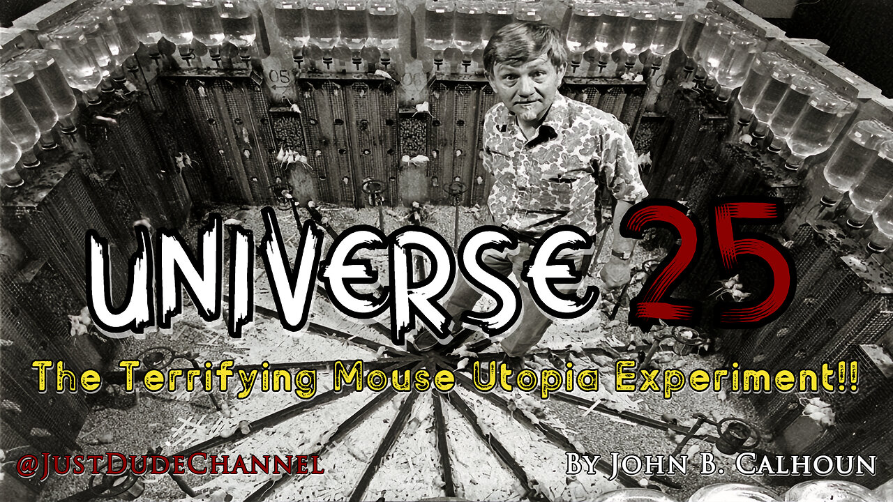 Universe 25: The Terrifying Mouse Utopia Experiment | John B. Calhoun