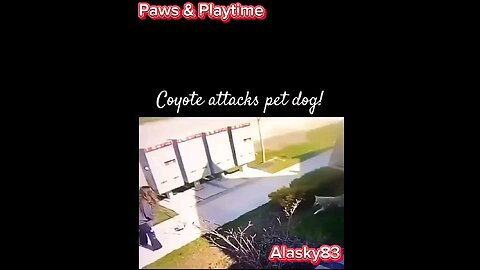 WOMAN AND PET DOG ATTACKED BY COYOTE😱😱😱😱