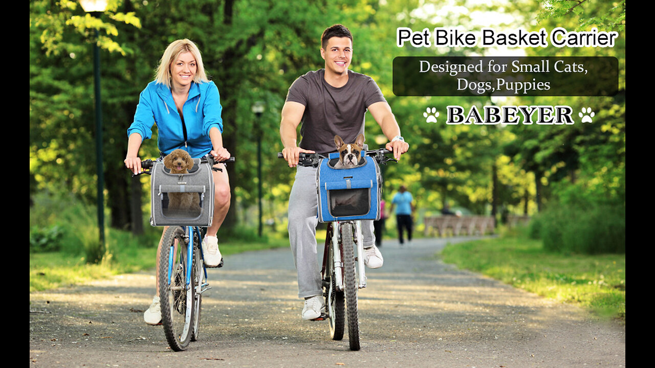 Dag Bike Baskets