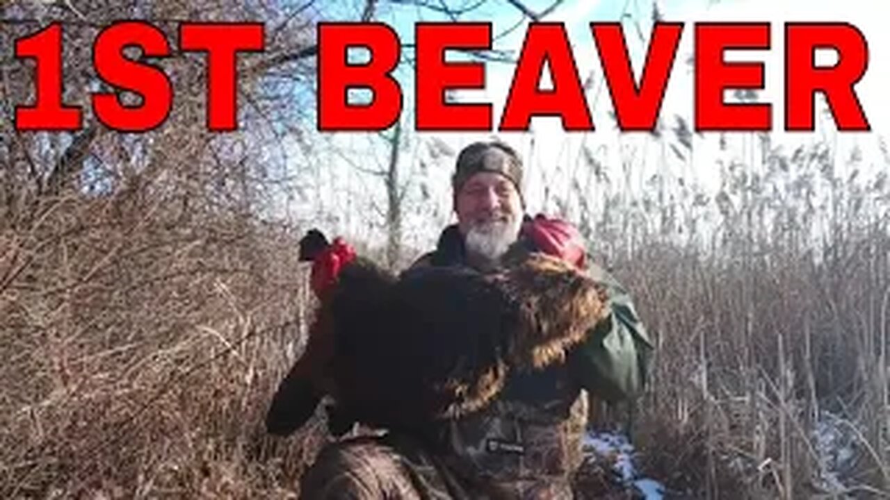 Catching BEAVER! #Beaver
