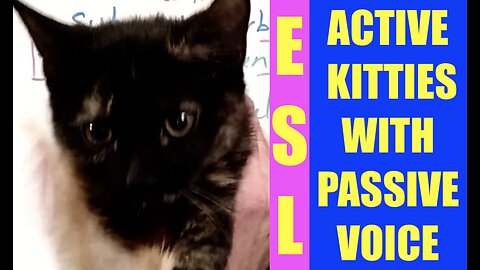 Active Voice / Passive Voice - Examples by Kittens