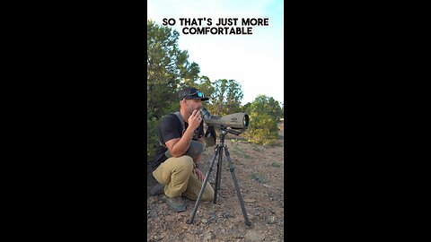 Angled or Straight spotter? Which do you use?