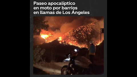 🔥Osado grupo de amigos explora los barrios incendiados de Los Ángeles