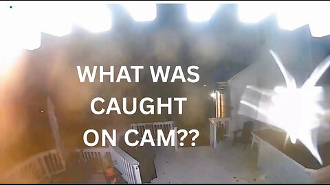 Rare Wildlife & Creepy Night Visitor Caught on Camera | August–September Footage & Strange Sounds