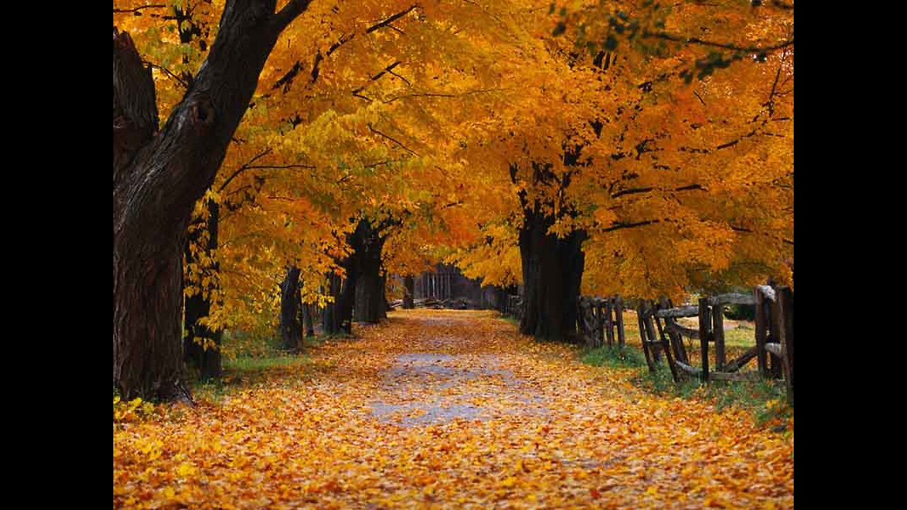 What Does the Bible say About Fall? Podcast