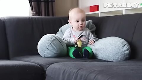 Watch Animals and Babies Share Pure Love for 30 Minutes 🐶❤️👶