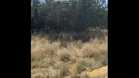 Filling the Deer Feeders for the Season