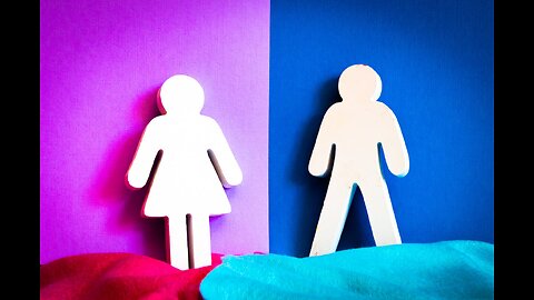 Feminist vs. Egalitarian Conclusions - Is Gender Egalitarianism a Viable Solution?