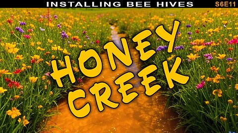 Hive Install at Honey Creek | Building out the new bee yard.