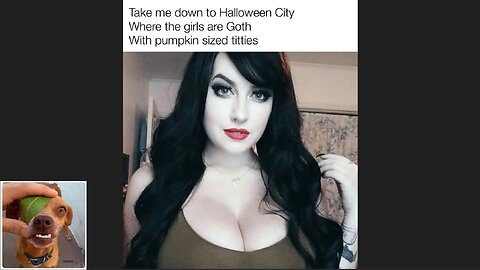 Memes That Will 99.0445% Make You Laugh. (e669)