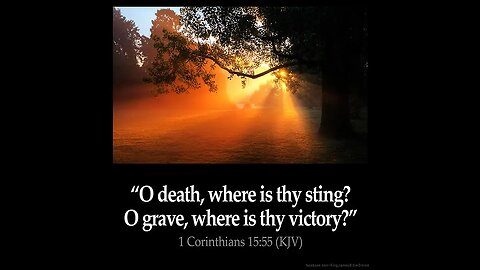 Muslim Activists Stomped On Bibles in Atlanta, Then Their Legs Would Not Move.