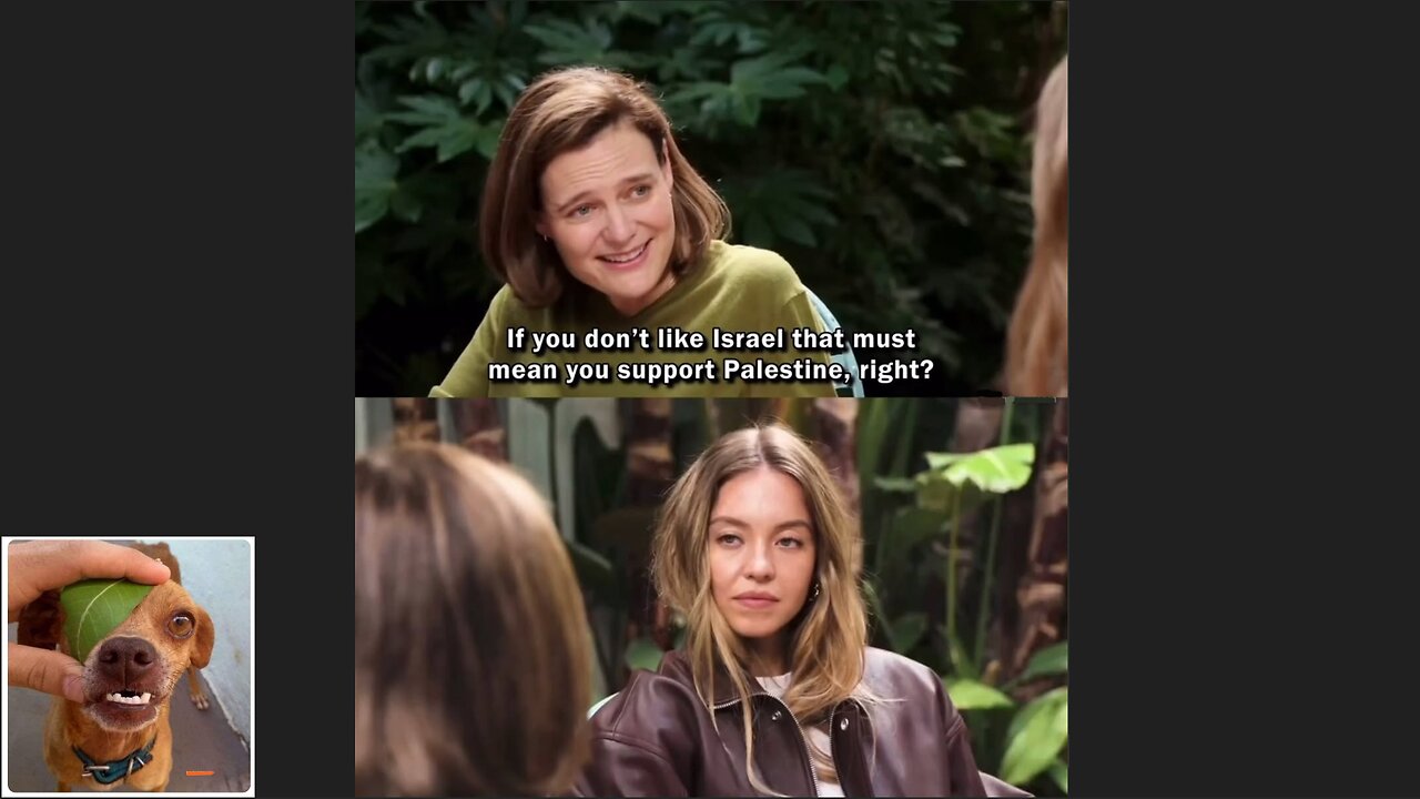 Memes That Will 99.0487% Make You Laugh. (e711)