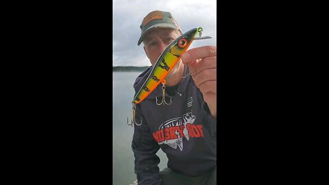 Death Pause Minnow