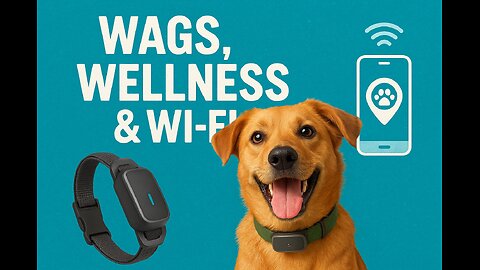 Smart Dogs, Happier Hearts