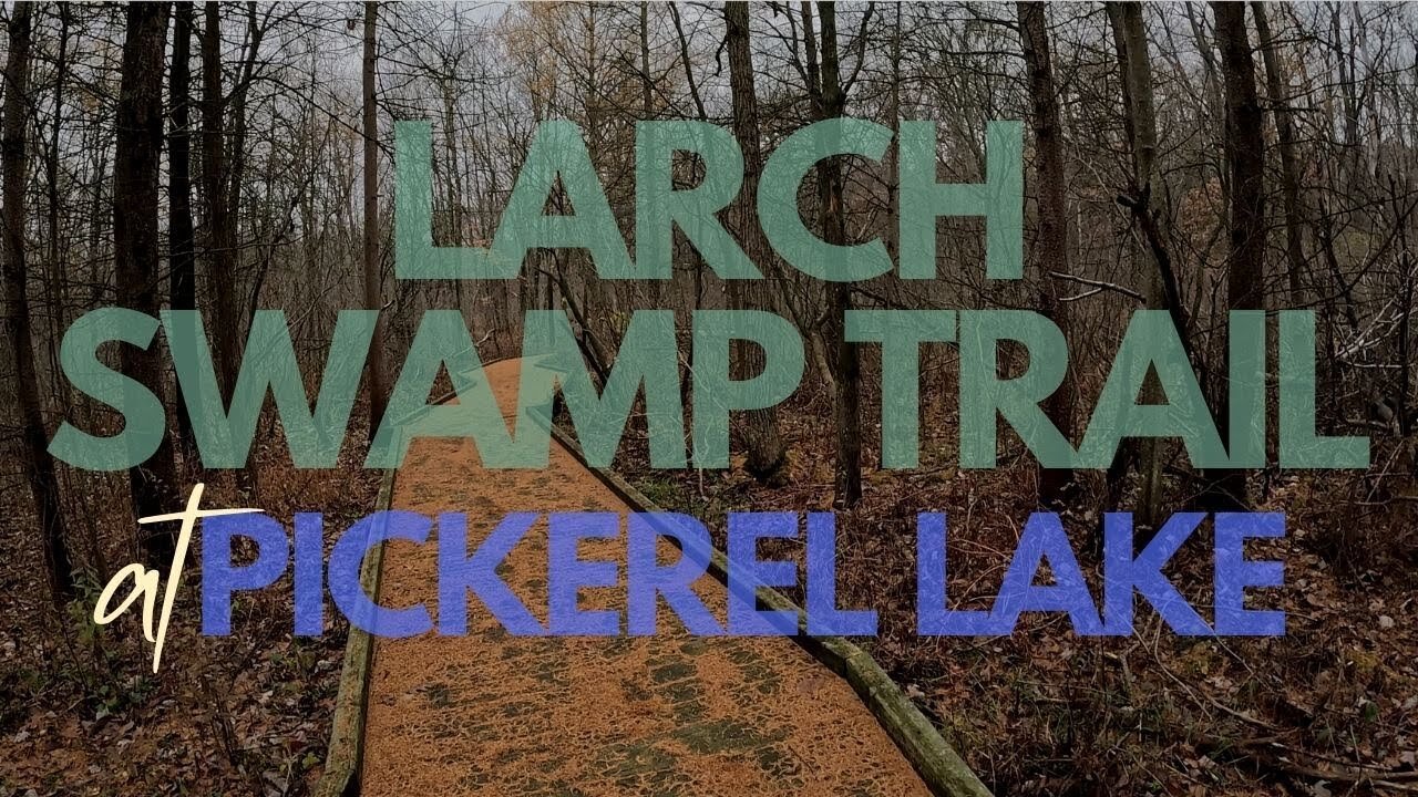 Larch Swamp Trail at Pickerel Lake, Cloudy Fall Hike | Full Hike POV | Nature ASMR | Kent, MI