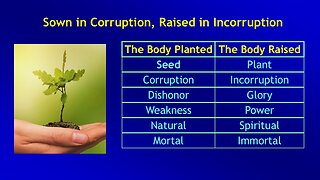 Video Bible Study: 1 Corinthians - #067
