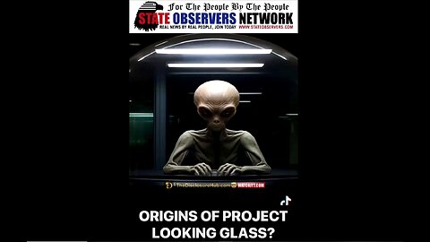 IT'S A CLOWN WORLD NEWS 11-29-2025