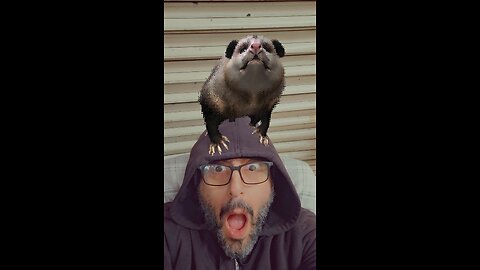 Ringa Ringa Ringa ding dong gross...