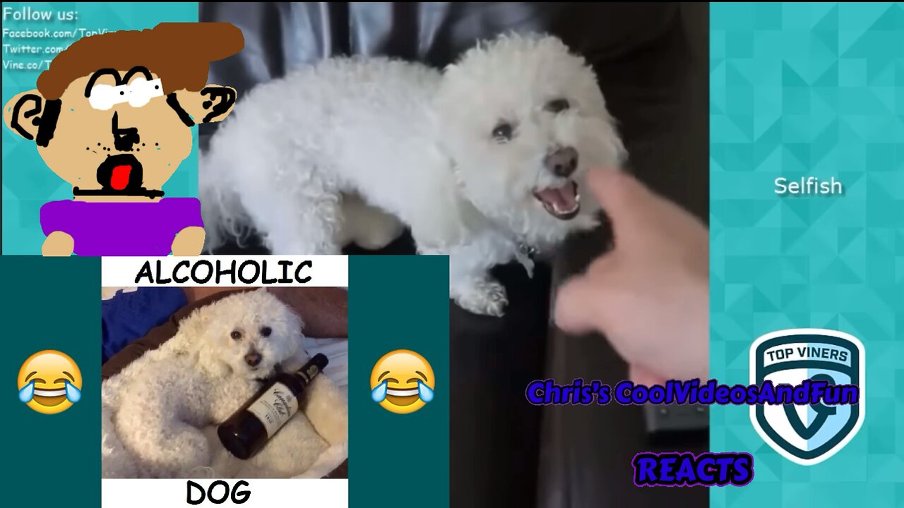 Quincy and Patrick Barnes Vine Compilation - BEST Patrick and Quincy Vines 2018 (Reaction)