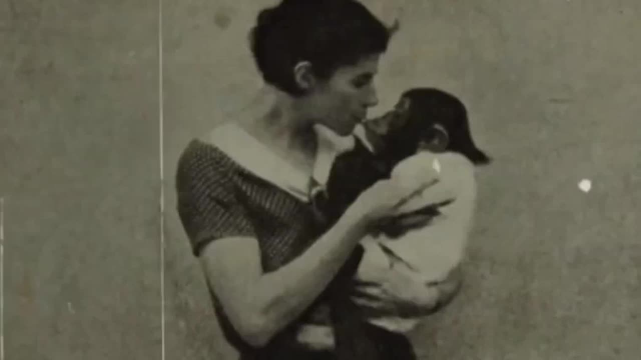 Intelligence Study VS White Nature