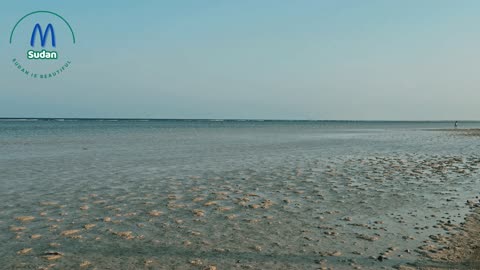 Munib Red Sea area