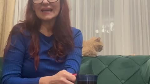 Kush është ekipi pas Panairi Online?