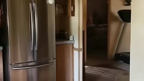 😱👻 3 Videos of Real Demons! | TheHauntingHour