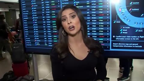 Alaska Airlines ground stop causes airport chaos