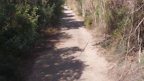 españa 📍Video with my own camera. Watch this beautiful view.