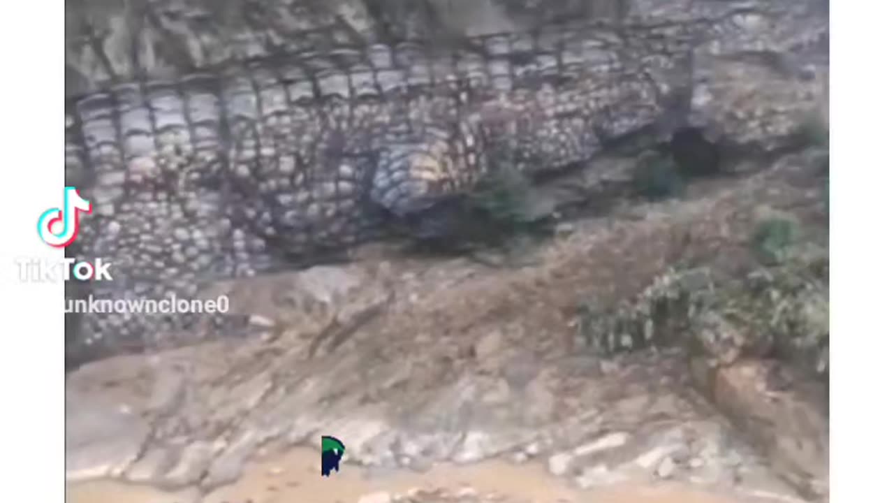 Mudfossilezed giant alligator