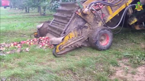 HOW MILLIONS OF LITRES OF APPLE JUICE ARE MADE IN FACTORY// APPLE JUICE FACTORY PROCESS