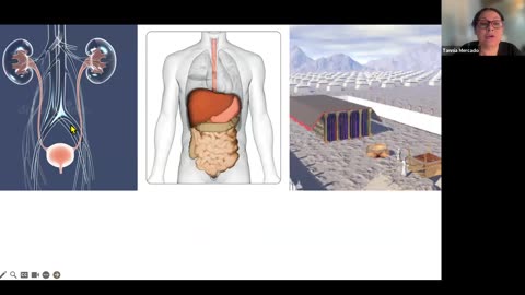 EL Santuario y El Cuerpo Humano - Diciembre 23, 2024