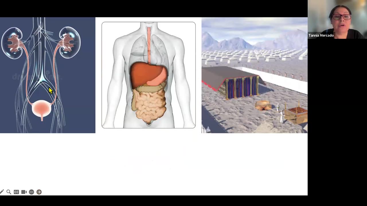 EL Santuario y El Cuerpo Humano - Diciembre 23, 2024
