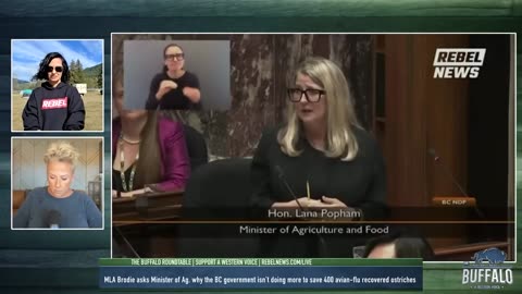 MLA Dallas Brodie demands answers into planned cull of 400 healthy ostriches