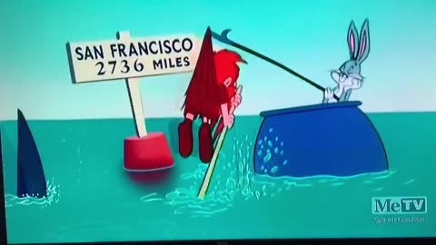 🏝“Rabbitson Crusoe”🏝