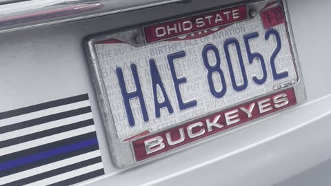 IS FBI AGENT SEALS CAPABLE OF INVESTIGATING OR MANUFACTURING CRIMES?