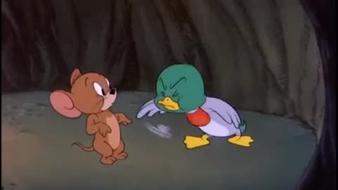 Tom and Jerry tom shoots a baby duck MP4