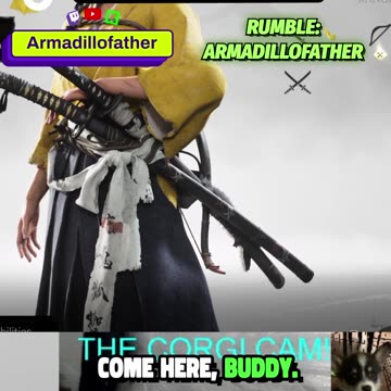 I #offer my #Corgi a #treat as I #play Ghost of #Yotei! He says #thanks by #leaving me!