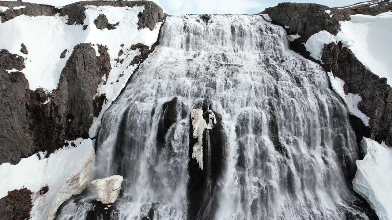 whatever you do, you have to keep moving forward."