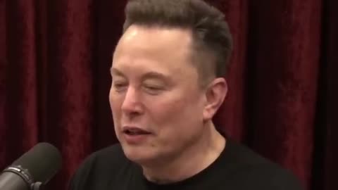 Elon Musk: The Judges Don't Have Law Degrees