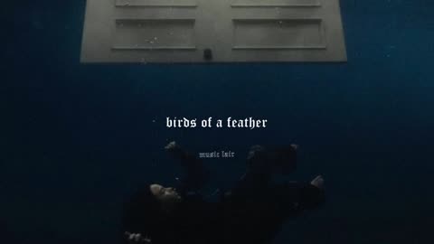 billie eilish - birds of a feather (slowed)