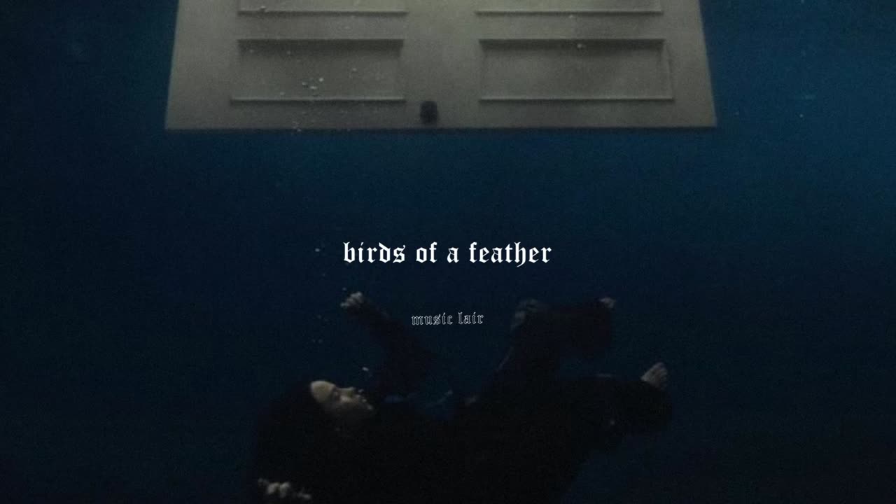 billie eilish - birds of a feather (slowed)