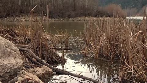 😊 245 EL MIEDO LIMITA, PERO LA FE EXPANDE 😊