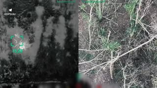 ⚡️Forpost border guards discovered and eliminated groups of Russian infantrymen
