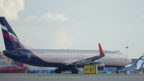 What do an airplane and a bat have in common?